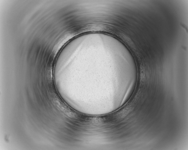 X0000103941226200810031314