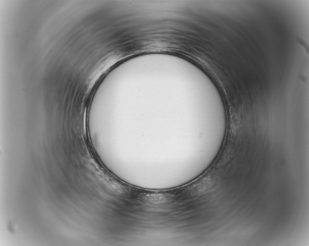 X0000103941227200810031314