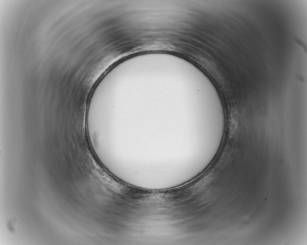 X0000103941228200810031314