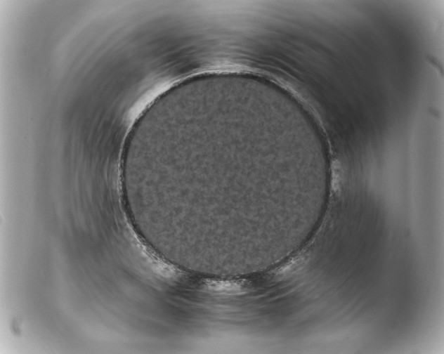 X0000103941229200810031314