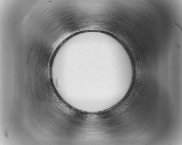 X0000103941230200810031314