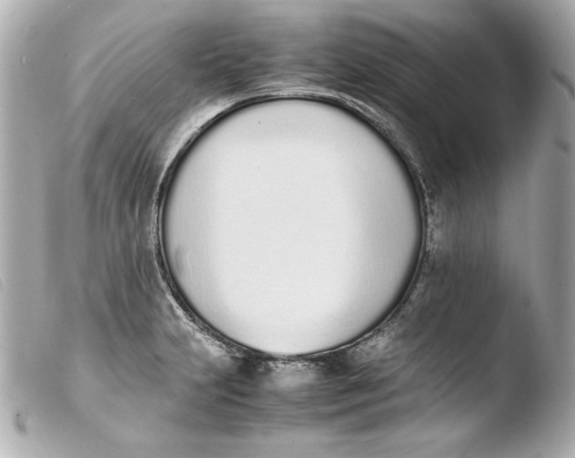 X0000103941231200810031315