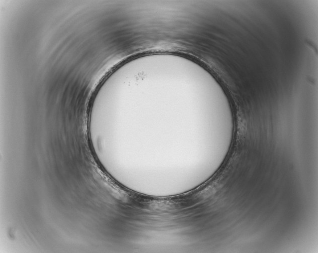 X0000103941232200810031315