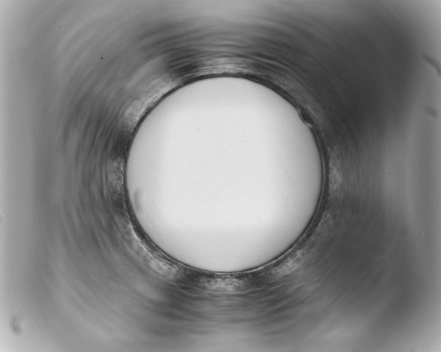 X0000103941233200810031315