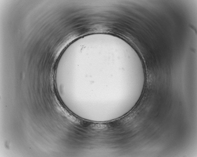 X0000103941235200810031315