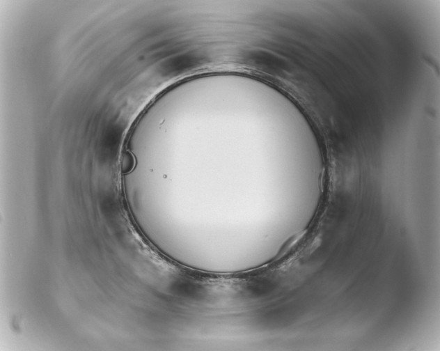 X0000103941236200810031315