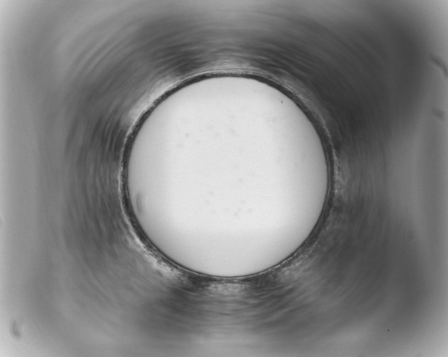 X0000103941237200810031315