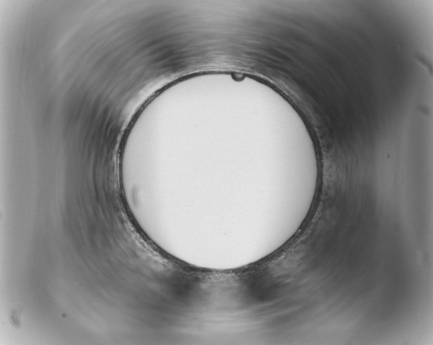 X0000103941238200810031315