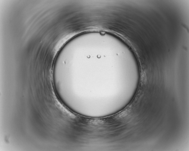 X0000103941239200810031315