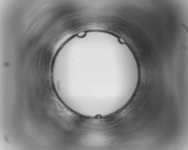 X0000103941240200810031315