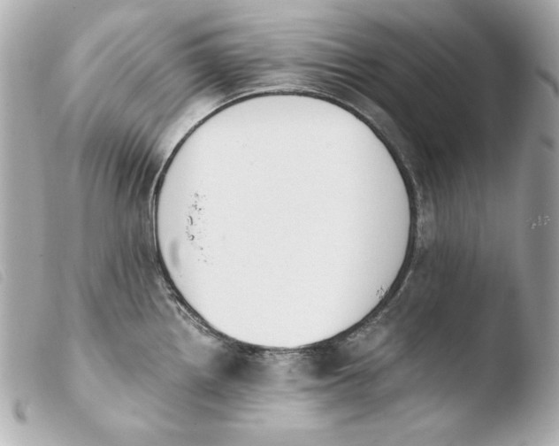 X0000103941242200810031315