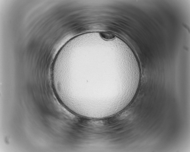 X0000103941243200810031315