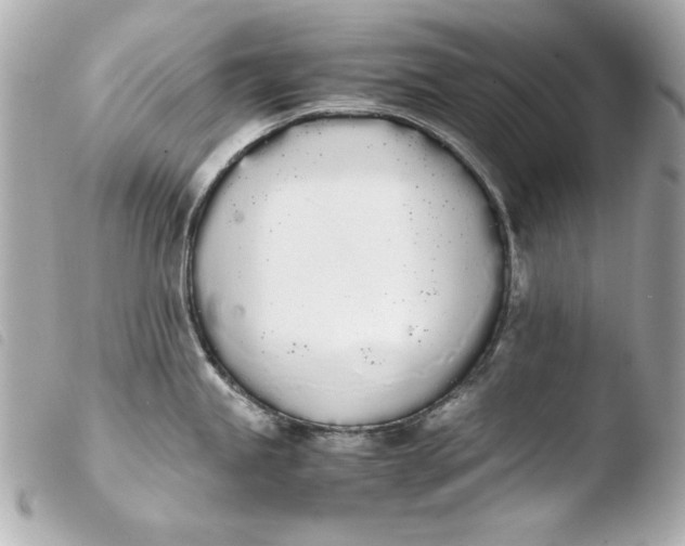 X0000103941245200810031315