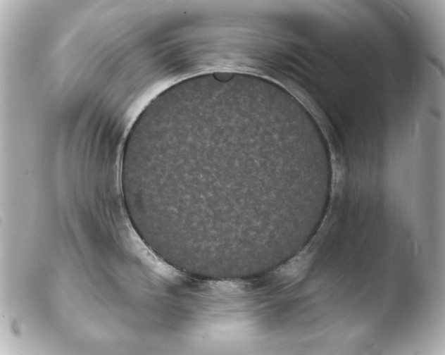 X0000103941246200810031315