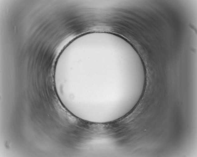 X0000103941248200810031315