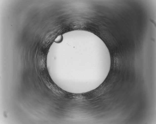 X0000103941250200810031314