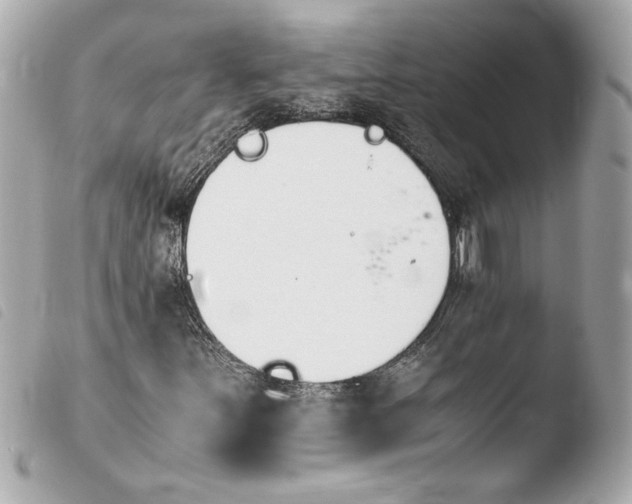 X0000103941251200810031314