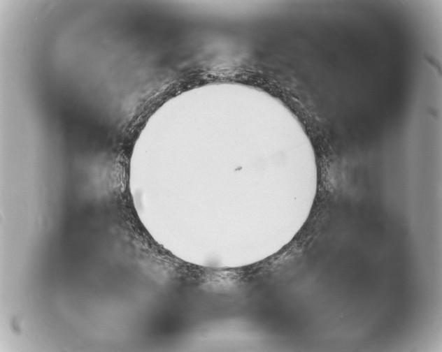 X0000103941253200810031314