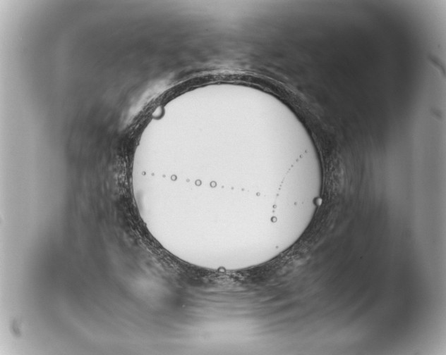 X0000103941255200810031314