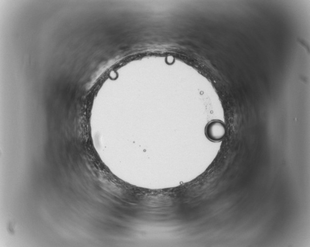 X0000103941256200810031314