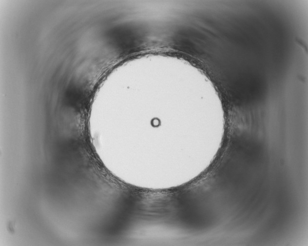 X0000103941257200810031314