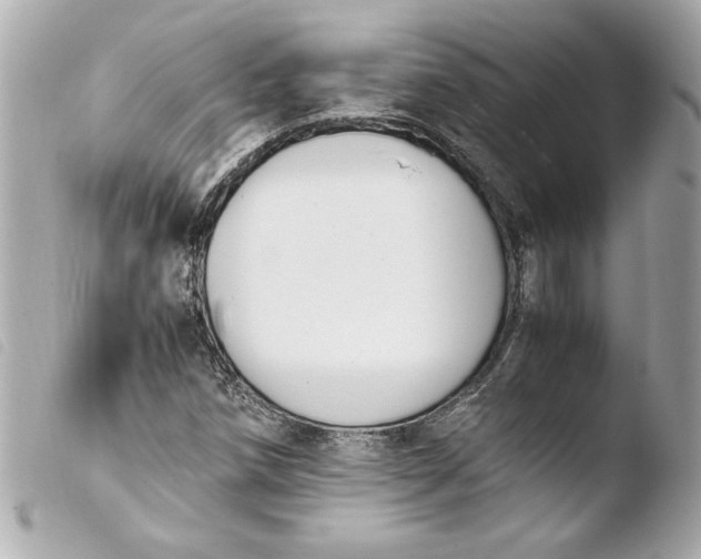 X0000103941258200810031314