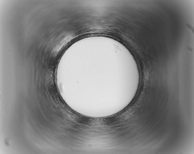 X0000103941259200810031314