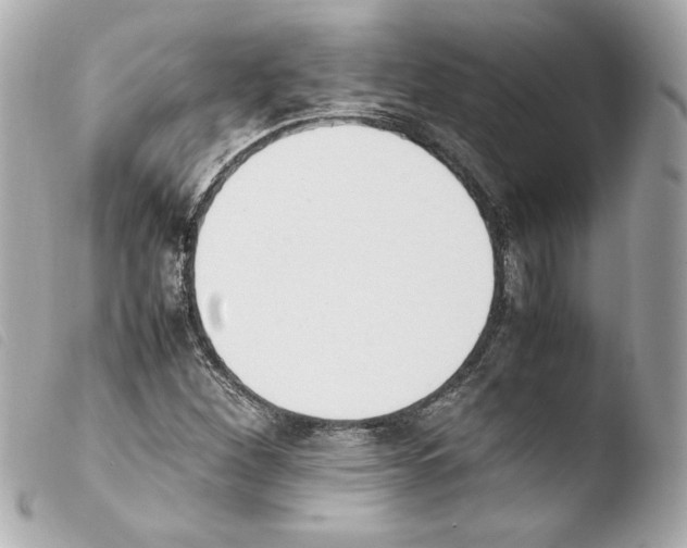 X0000103941260200810031314