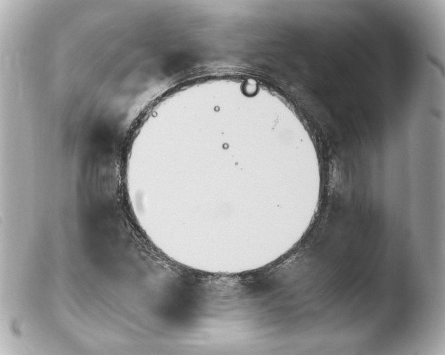 X0000103941261200810031314