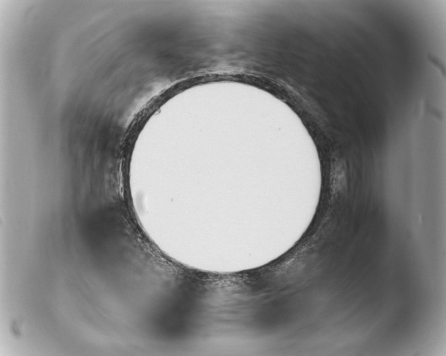 X0000103941262200810031314