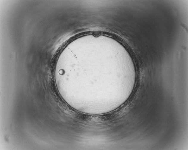 X0000103941263200810031314