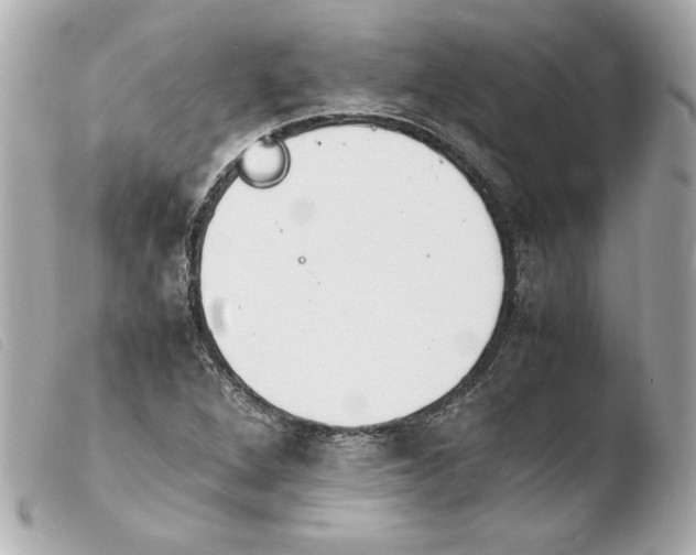 X0000103941264200810031314