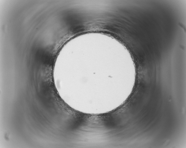 X0000103941265200810031314