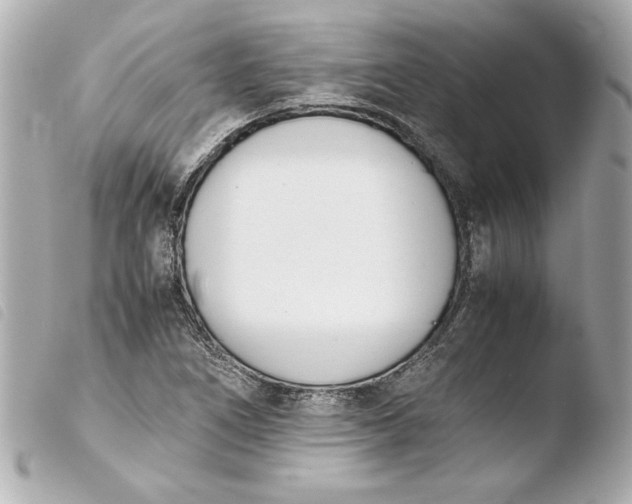 X0000103941266200810031314