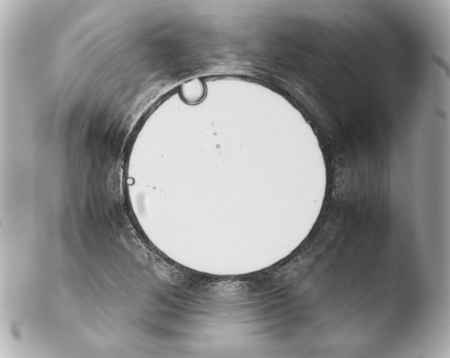 X0000103941268200810031314