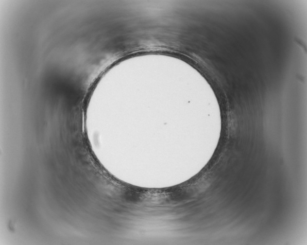 X0000103941269200810031314