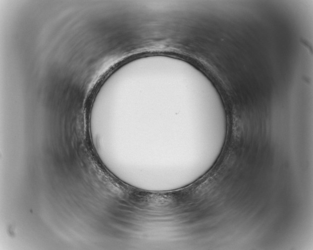 X0000103941270200810031314