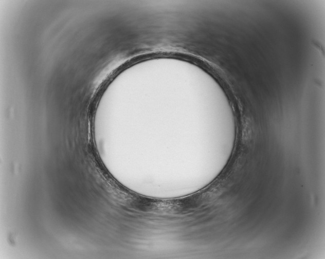 X0000103941271200810031314