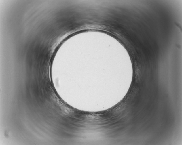 X0000103941272200810031314