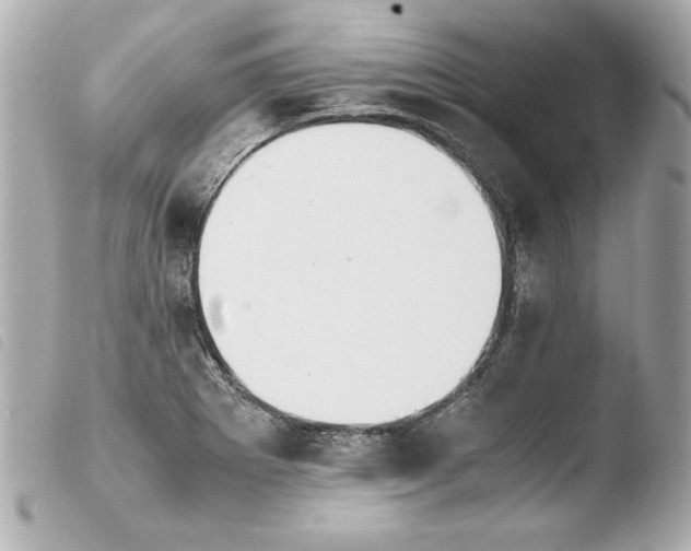 X0000103941273200810031314