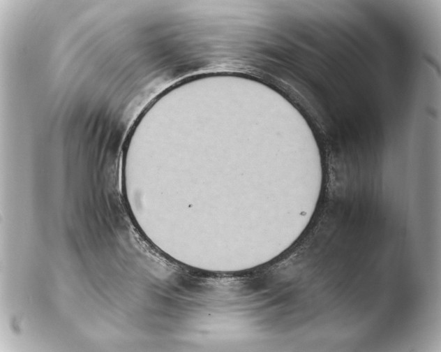 X0000103941276200810031314