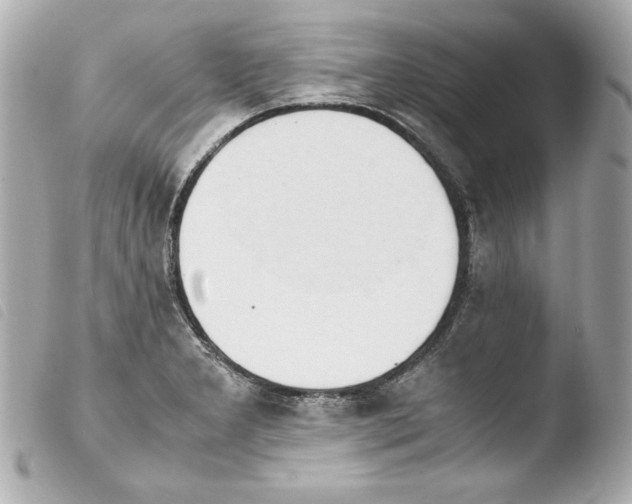 X0000103941277200810031314