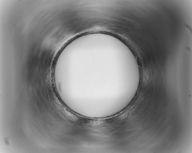 X0000103941278200810031314