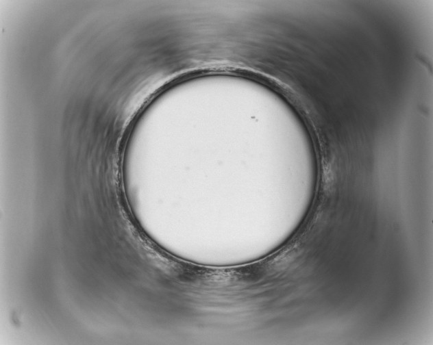 X0000103941279200810031314