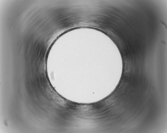 X0000103941280200810031314