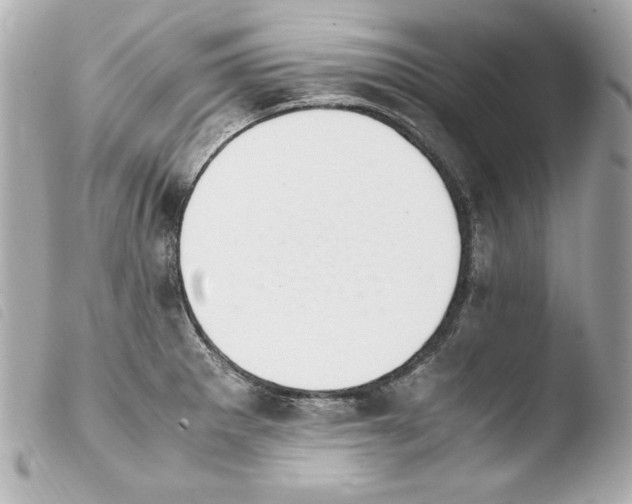 X0000103941281200810031314