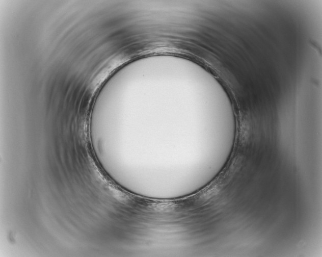 X0000103941282200810031314