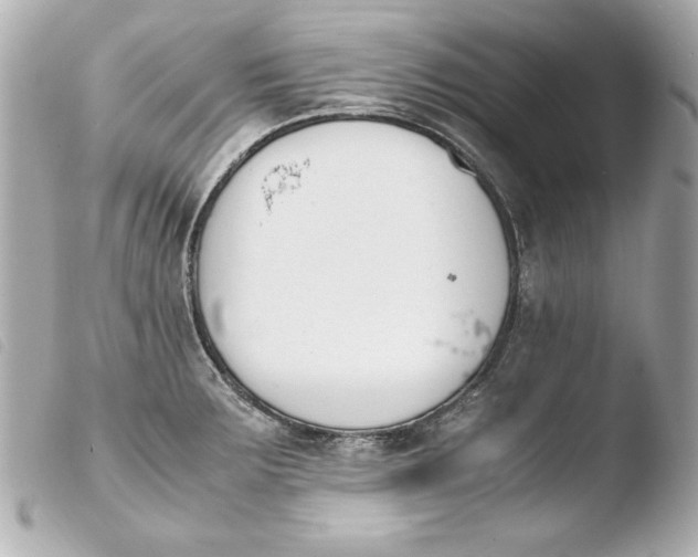 X0000103941283200810031314