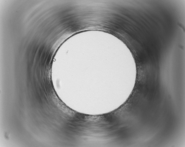 X0000103941284200810031314