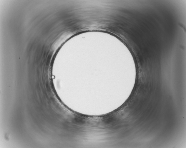 X0000103941285200810031314